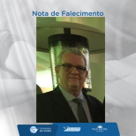 DELMAR INGO NIEDERAUER