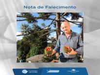 VANIO ANTONIO CZERNIAK