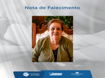 AMELIA DA ROCHA CARNEIRO