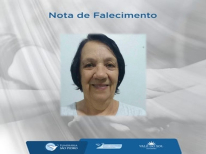 ANTONIETA DA SILVA VICENTE