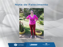 BEATRIZ KNECHT PALHANO