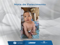 BRAYAN SOUZA DE LIMA