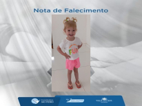 CECILIA DE ALMEIDA COMERLATO