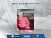 DELMIRA MARQUES TIBES