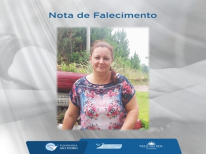 ELAINE ROCHA COSTA PRATES