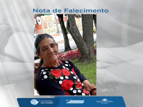 ELENA DOS SANTOS DELFE