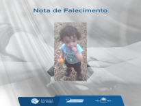 GAEL WILLIAN LINO SALES