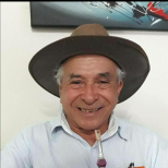 VALDO SIRIO RIBEIRO BORGES