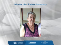 IRANY ZOLLNER  WEINGERTNER