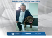 PEDRO PEREIRA IVANISKI