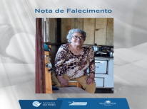 MARIA TEREZA FELIPE DOS  SANTOS