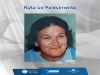 MARLENE APARECIDA CARNEIRO MENELLI