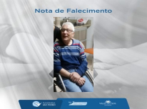 JOSE MARTINHO STEFANES