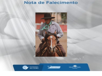 NELSON GRANEMANN HOFFMANN