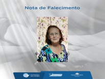 VANIR DE ALMEIDA SERIGHELLI