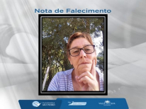 APARECIDA DE FATIMA ALVES FERREIRA DOMINGUES