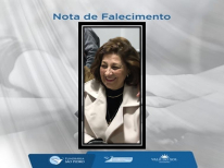 FARIDE TEREZINHA SAWAIA EL MESSANE