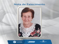 NELCI CASTELANI CAVALLI