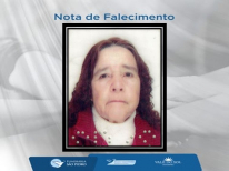 PAULINA DE ANDRADE SANTOS