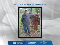 RAULINO GONÇALVES VIEIRA