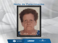 RENATE MELITA KOROLL