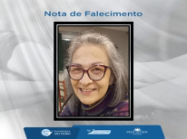 TERESINHA FERNANDES INSBERGER