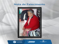 TEREZINHA DOS SANTOS DA SILVA