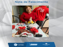 TEREZINHA IVETE PIRES CAMARGO