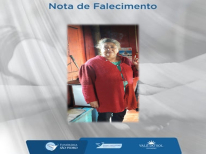 VERA LUCIA RIBEIRO DOS SANTOS